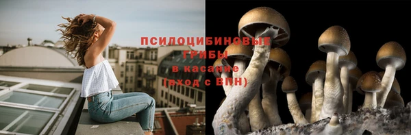 герыч Бородино