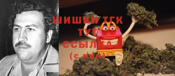 герыч Бородино